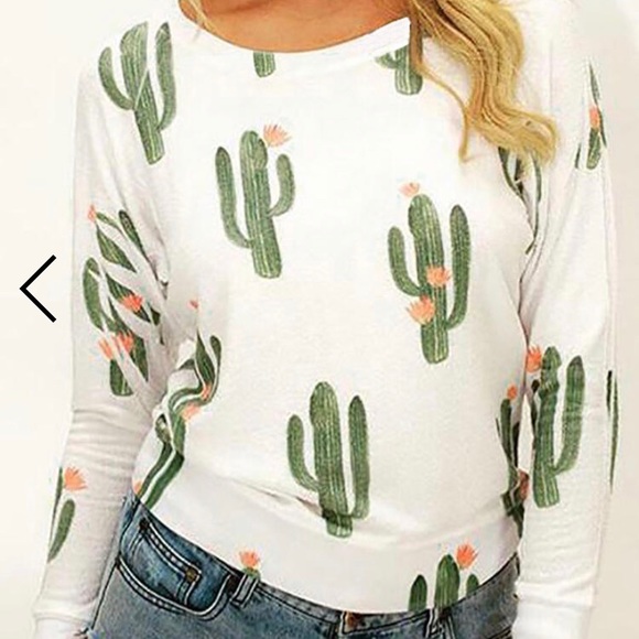 Sweaters - Cactus sweater